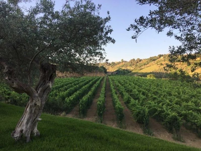 Antica Tenuta Del Nanfro
