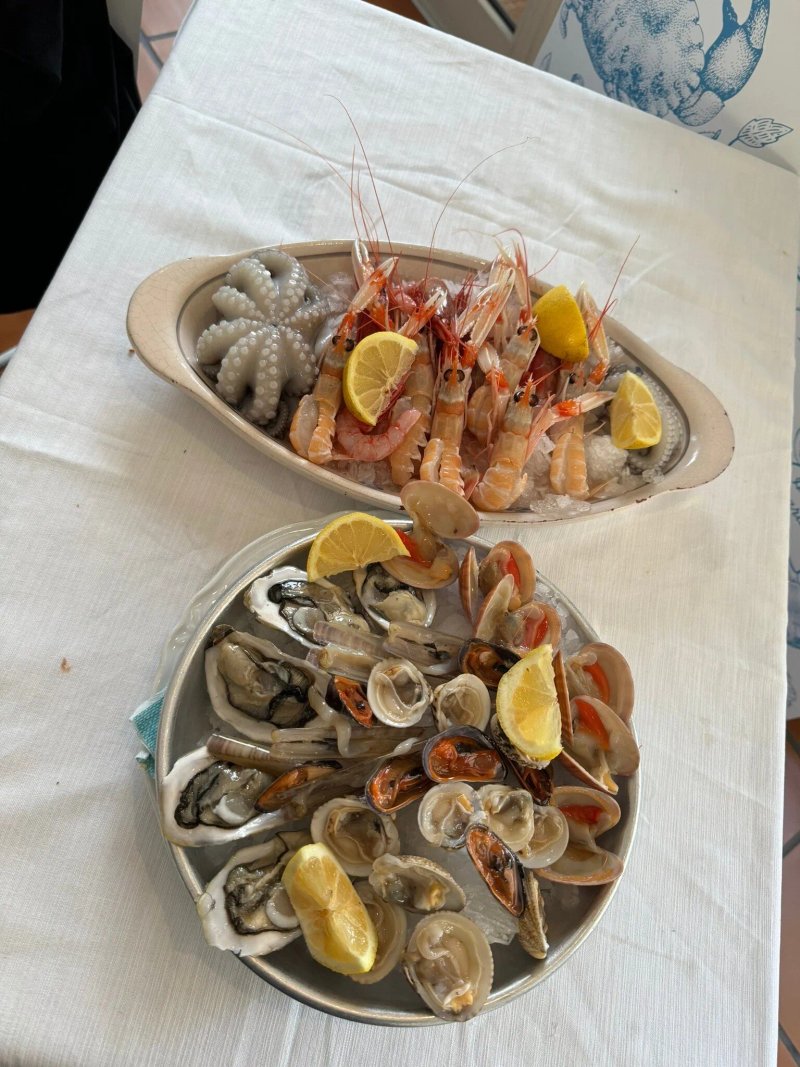 Dal Mollusco