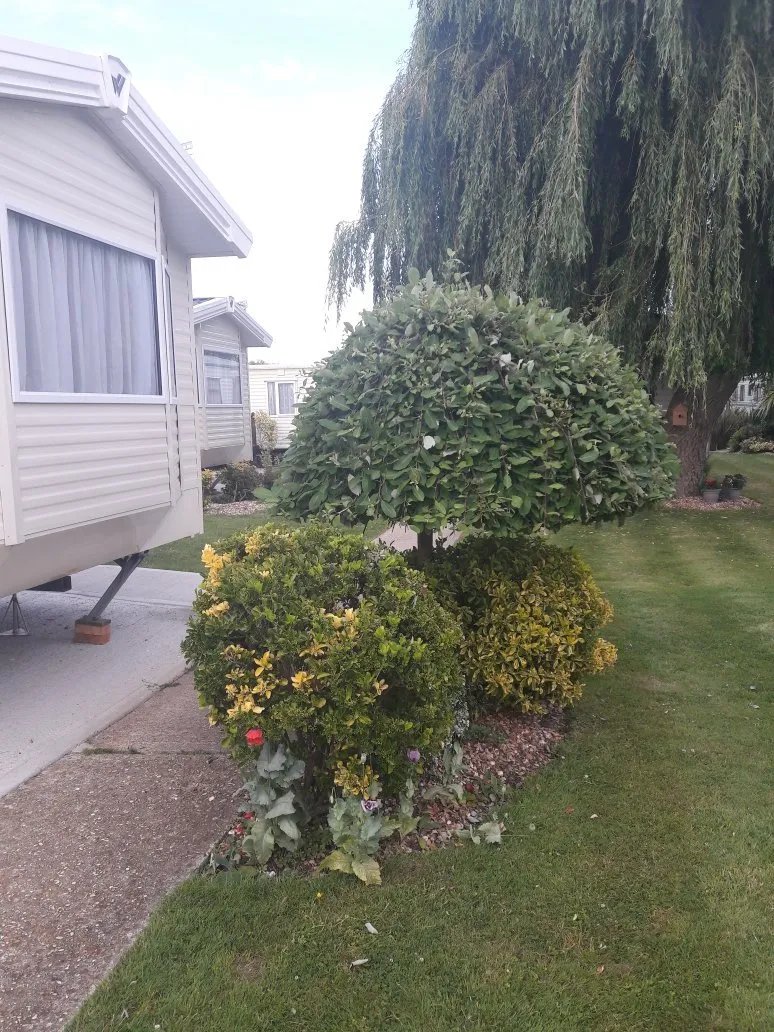 Fort Holiday Park