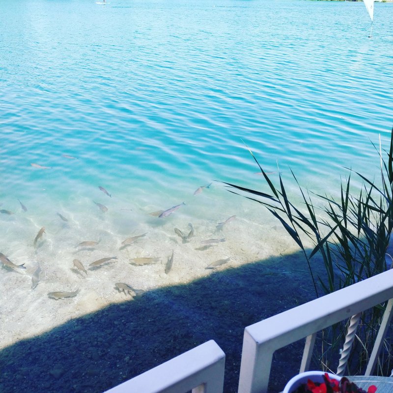 Mango Restaurant & Beach