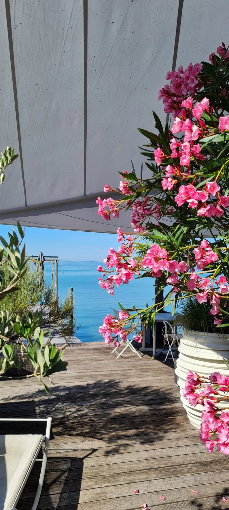 Pension am Bodensee