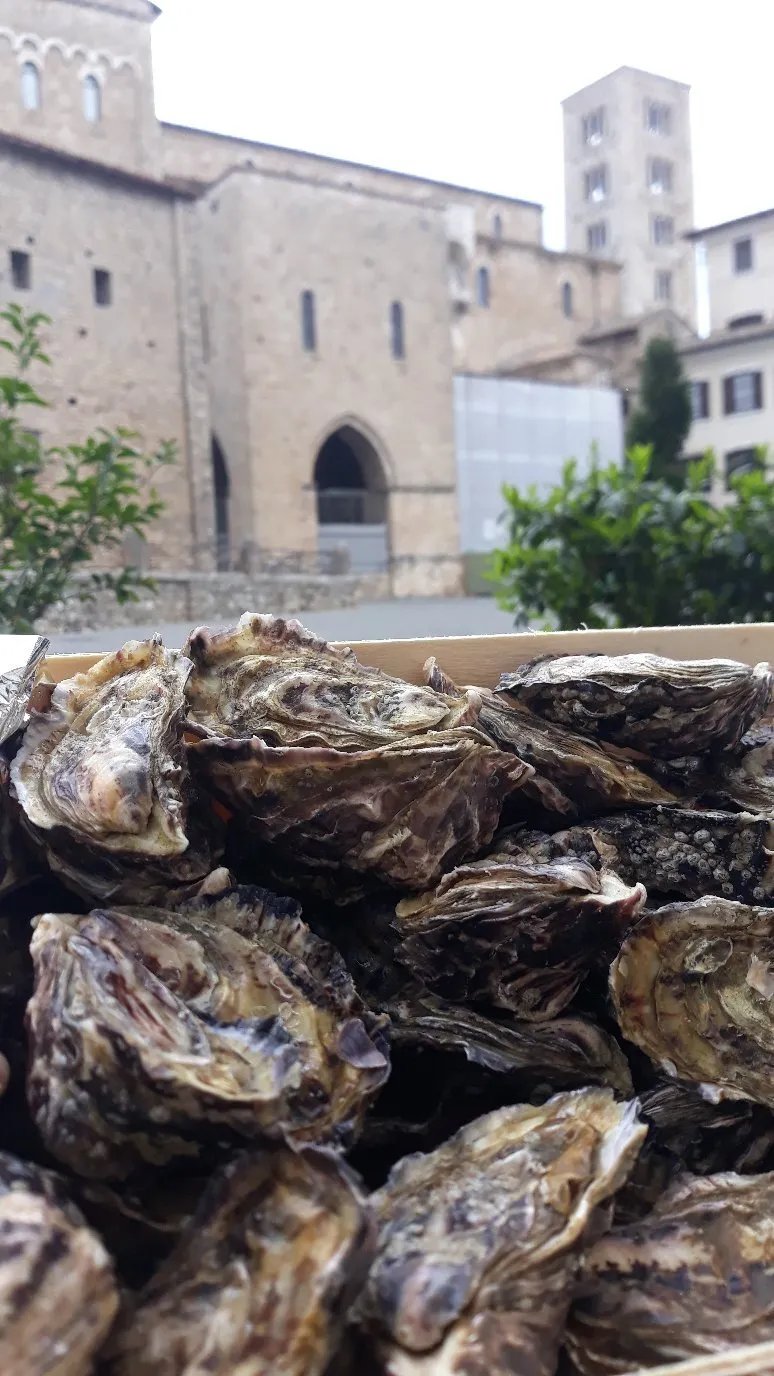 La bottega dei papi Enoteca