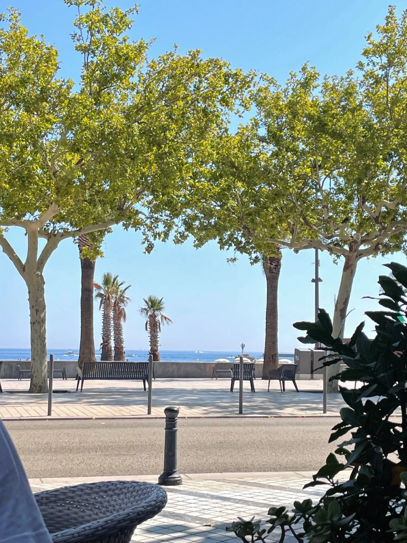 Le Banyulenc