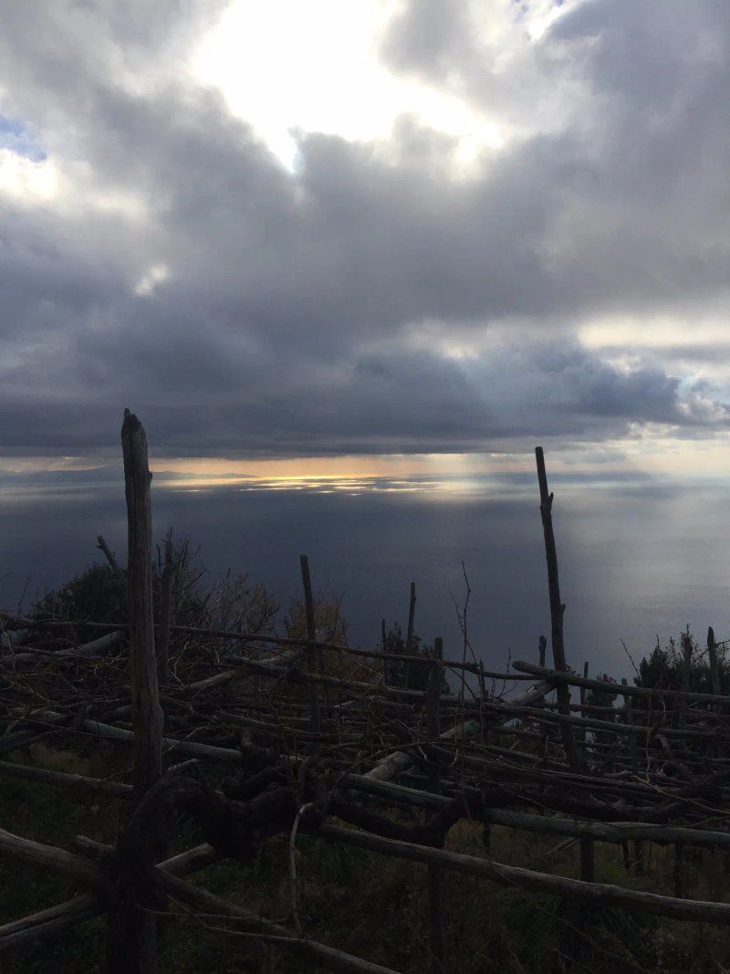 Il Dolce Tramonto