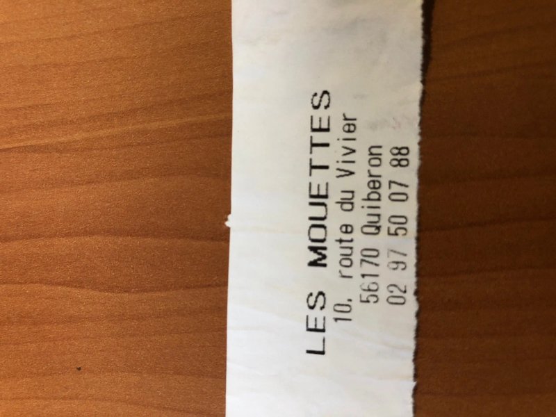 Les Mouettes
