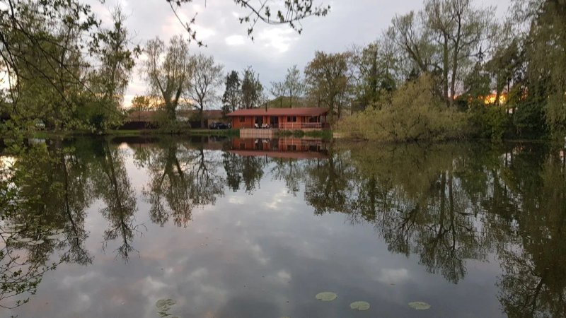 Willow Waters Fishery