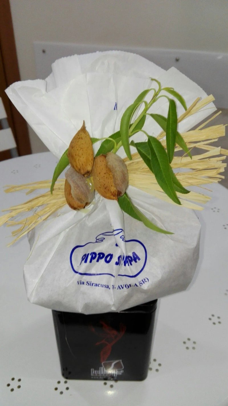 Pippo Si Pappa Bar
