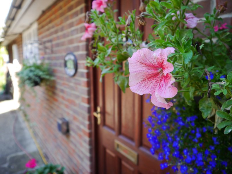 New Farm House Bed & Breakfast