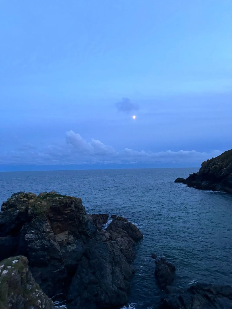 Cadgwith Cove Inn Restaurant