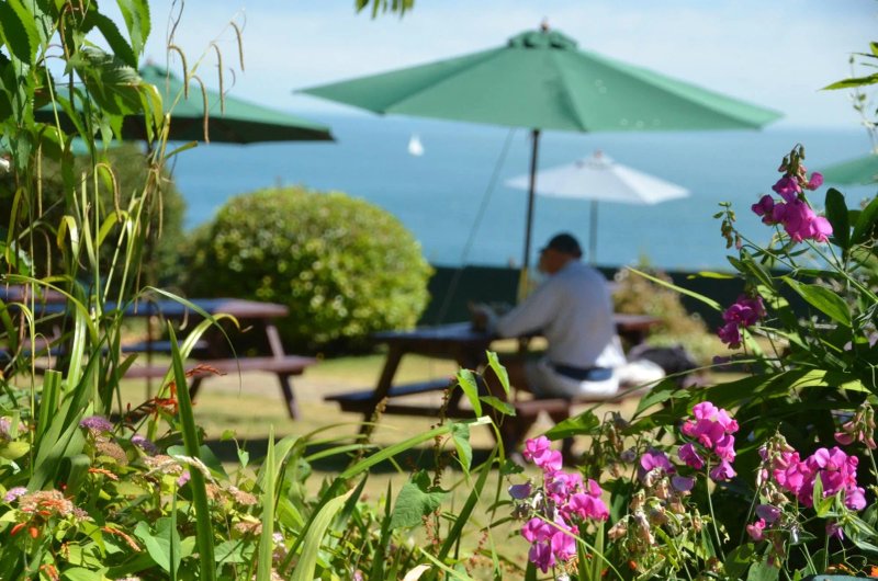 Luccombe Manor Country House Hotel