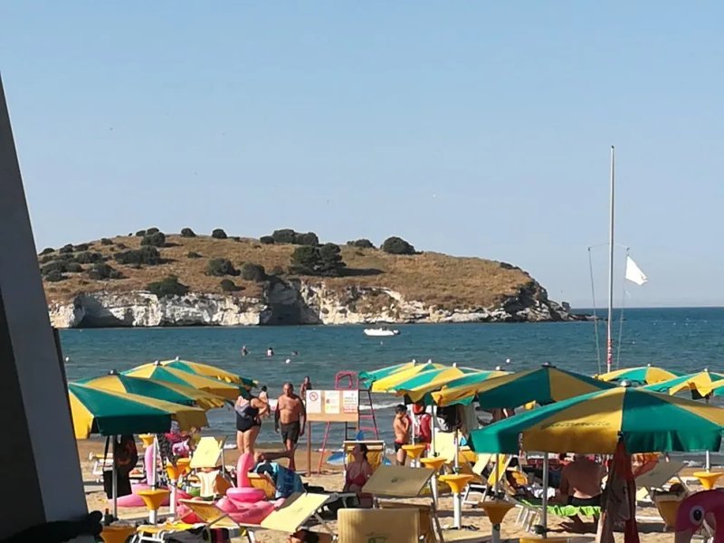 Ristorante Tortuga