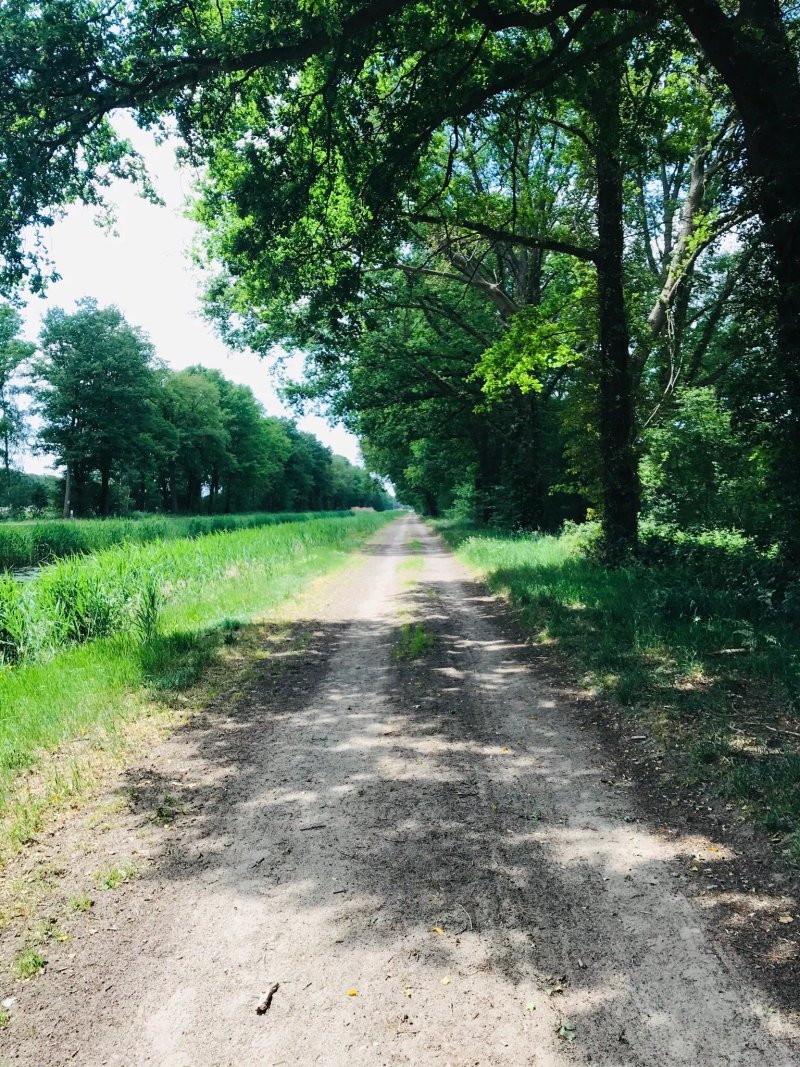 Erve Howerboer