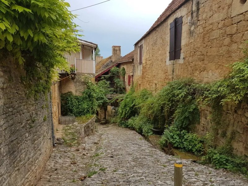 Le Jardin des Amis