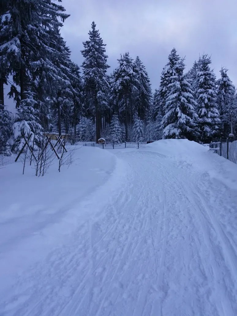 Wagners Sporthotel Oberhof