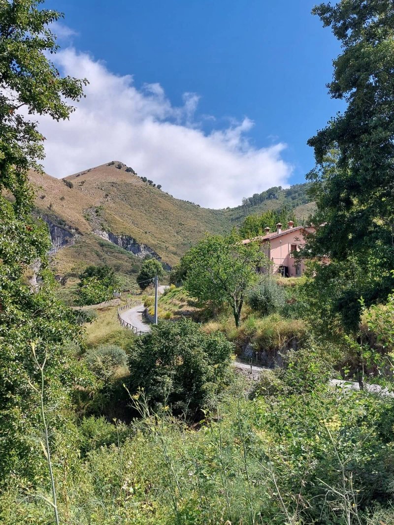 TerreRosse di Massadita