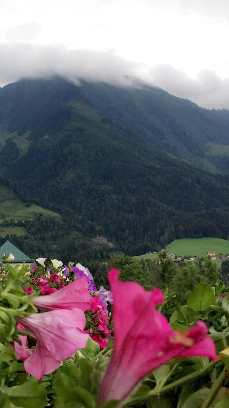 Alpines Lifestyle Hotel Tannenhof