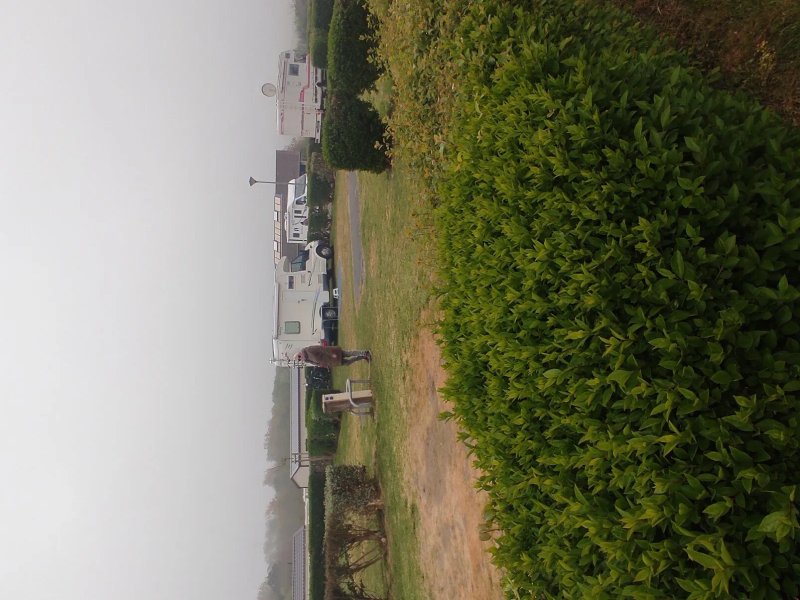 Camping Municipal L'Olympic