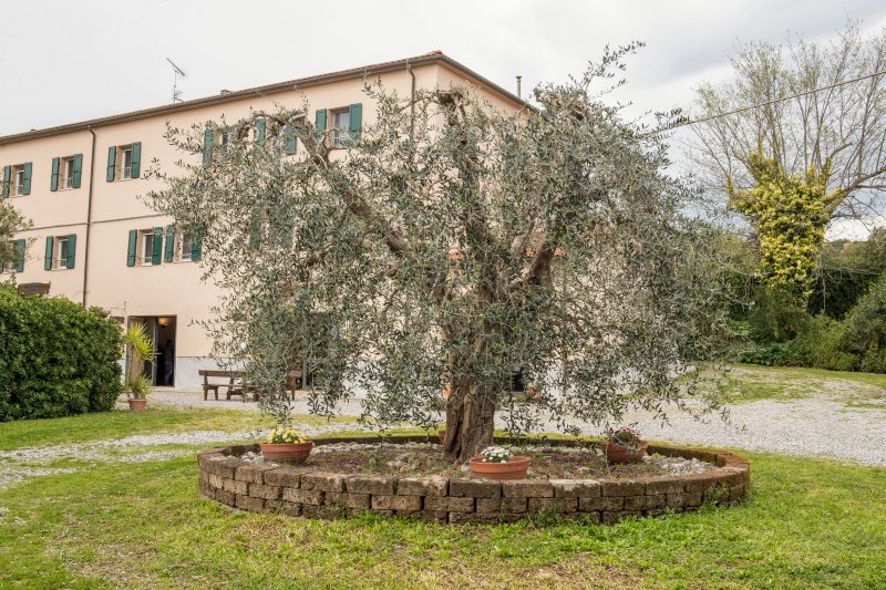 Agriturismo Antica Fonte