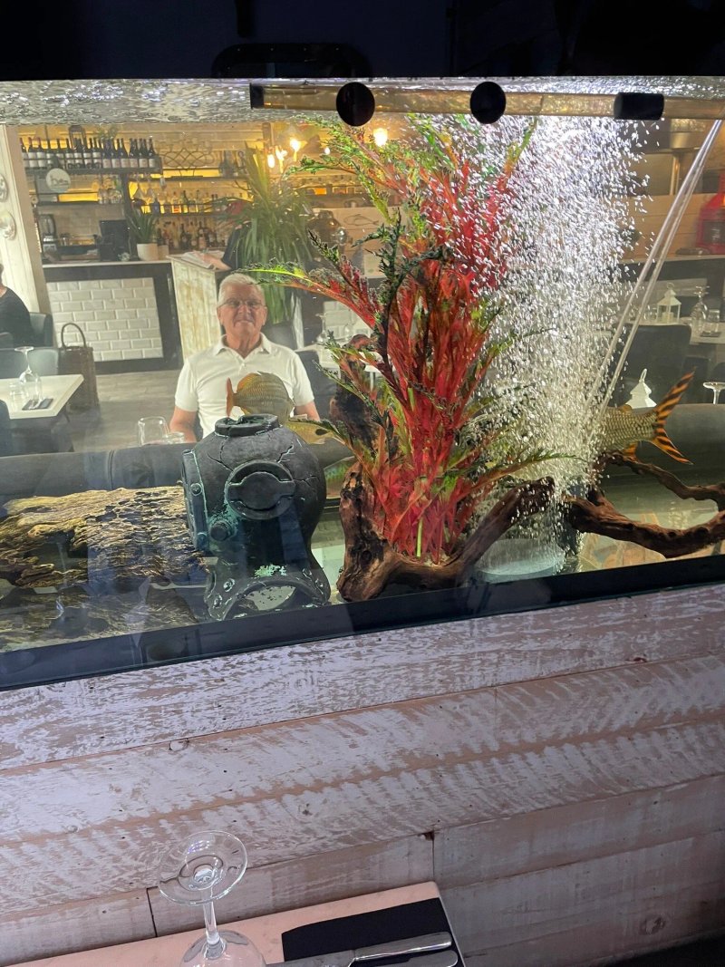 Humber Fish Co