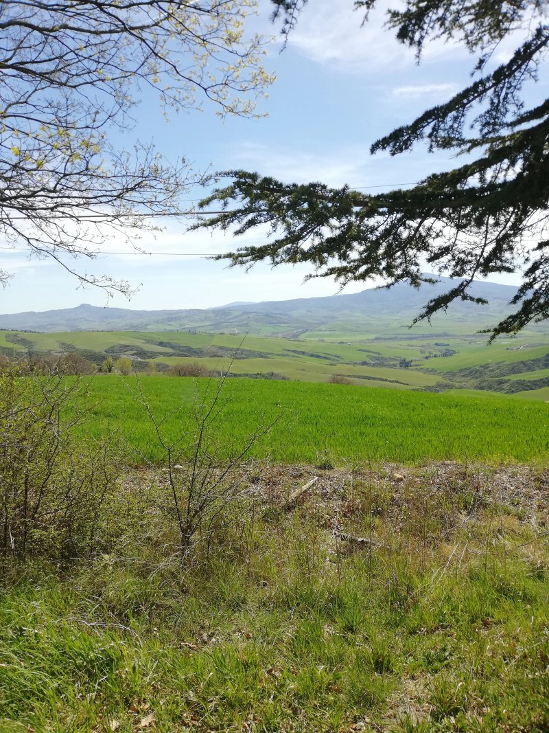 Agriturismo San Marcello