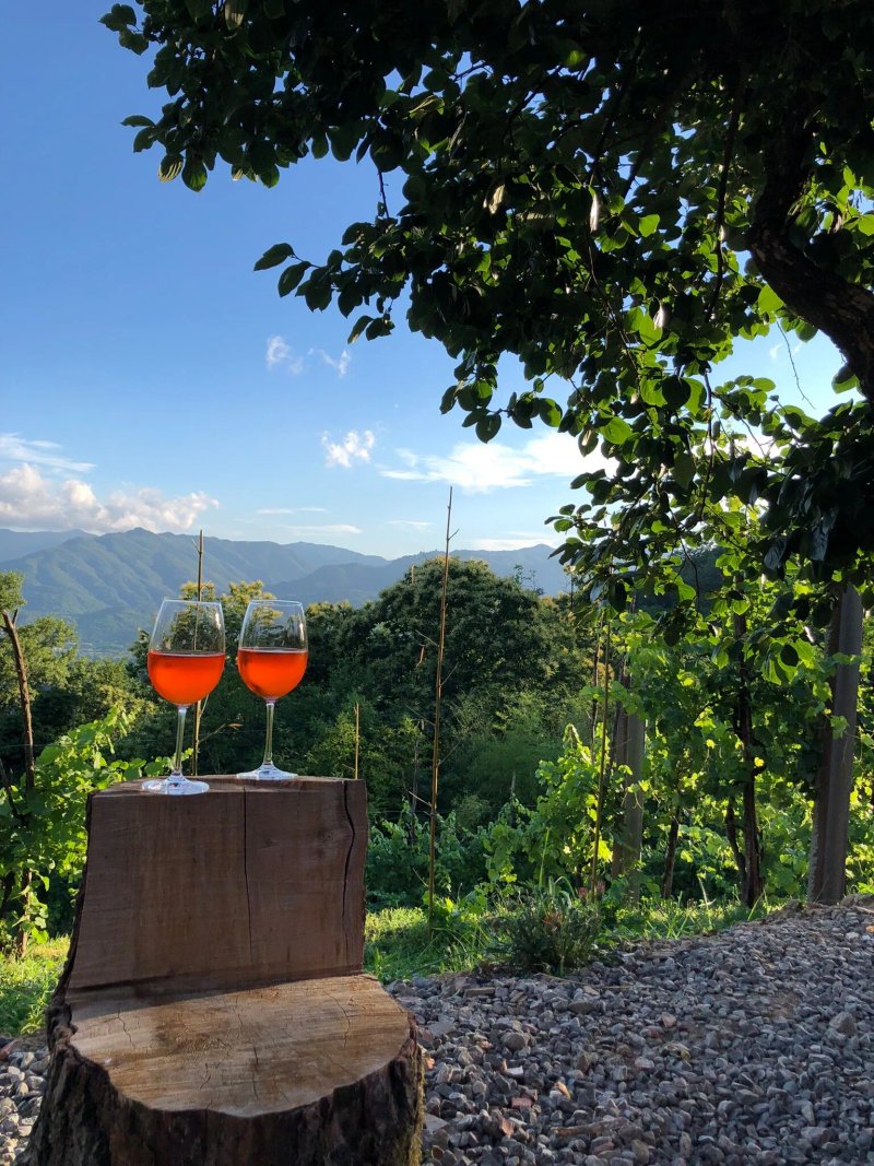 Agriturismo La Vecchia Cascina