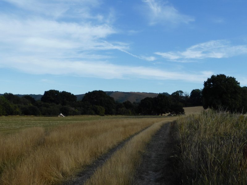 Wild Combe Camping