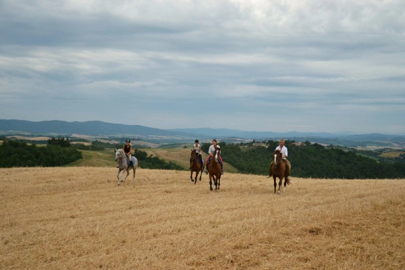 Fattoria Pieve A Salti