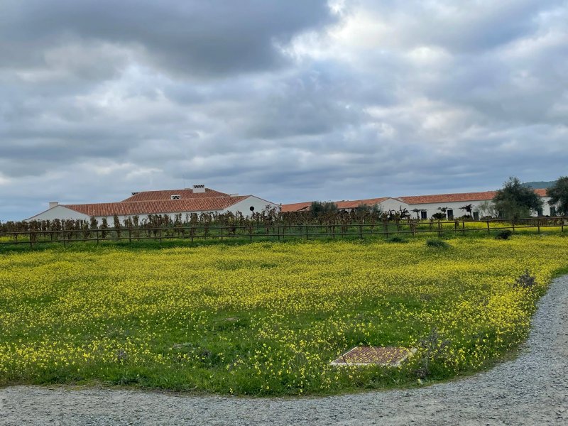 Sao Lourenco do Barrocal