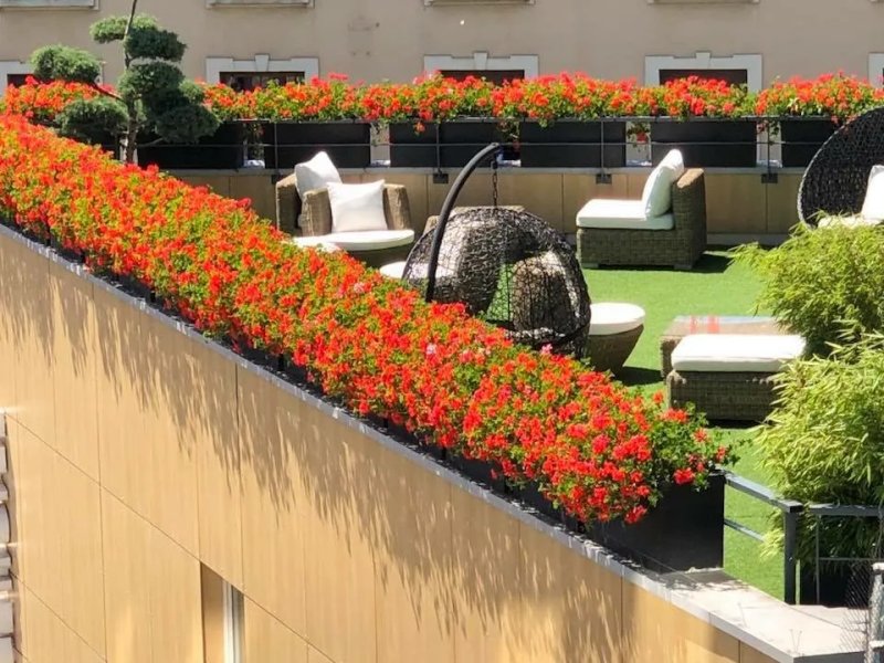 Best Western Plus Thionville Centre