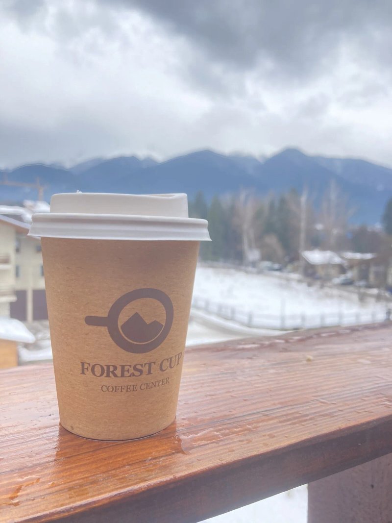 Forest Cup