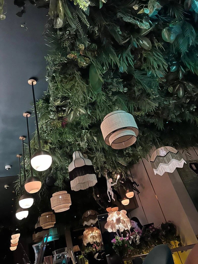 Zuaya London