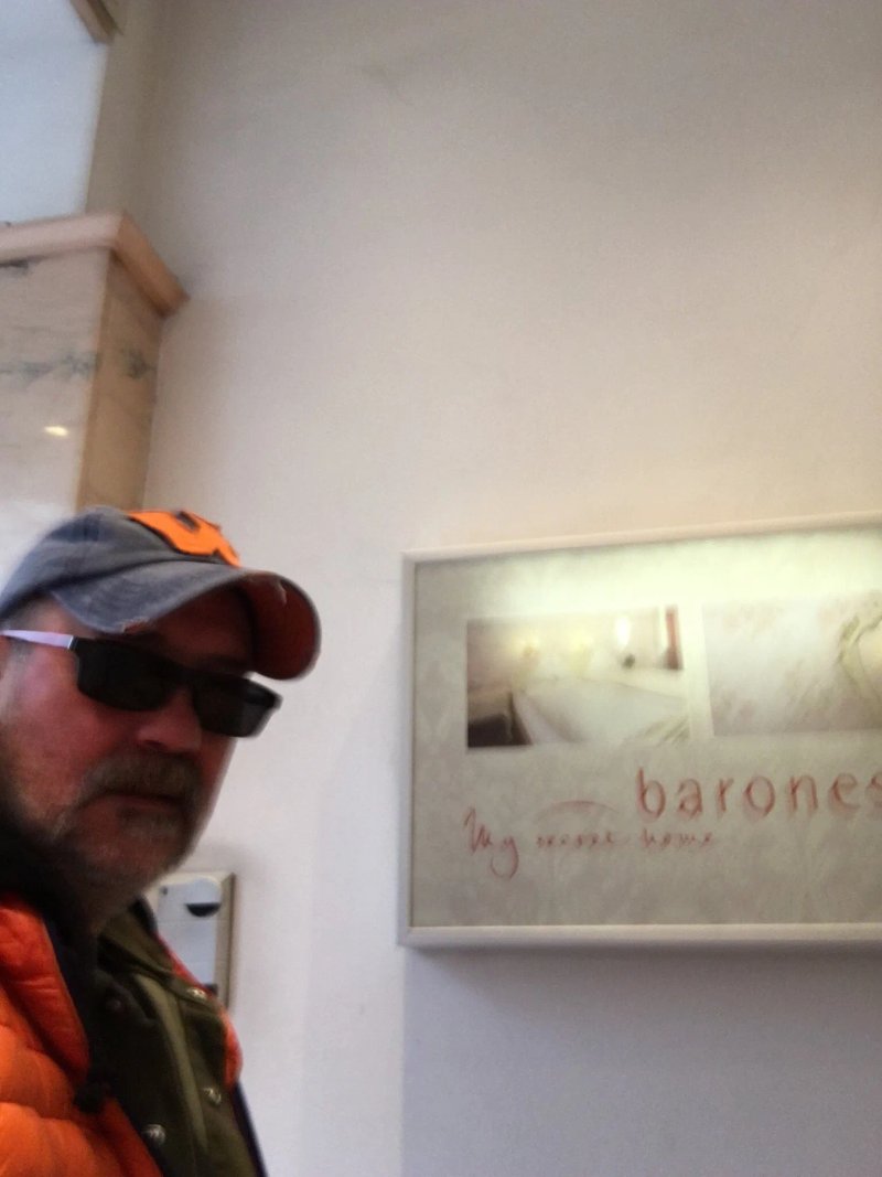 Hotel Pension Baronesse
