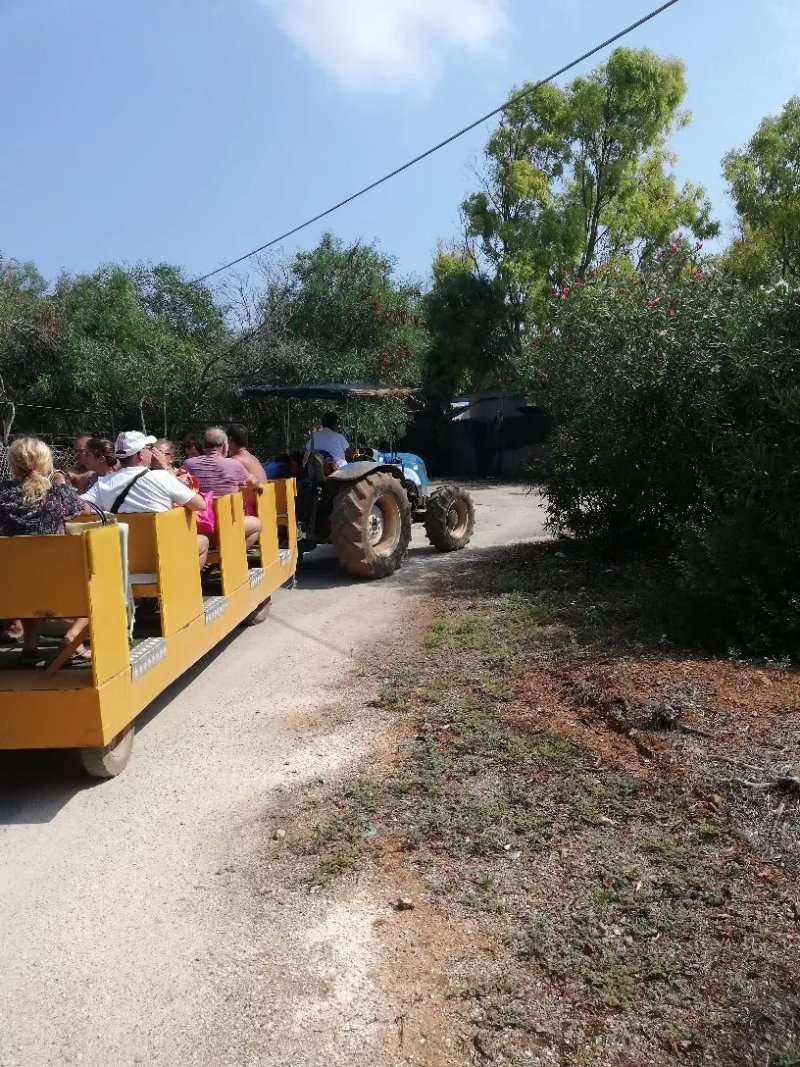 Camping Cala dei Ginepri
