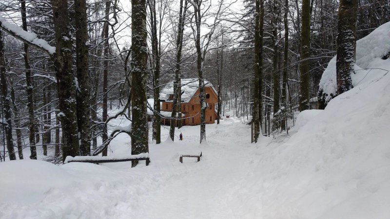 Okrepcevalnica Savica
