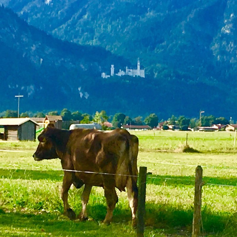 Landhotel Huberhof