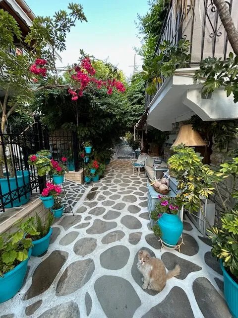 Hotel Kastro