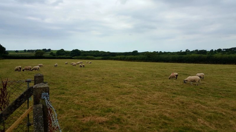 Tamarstone Farm Campsite