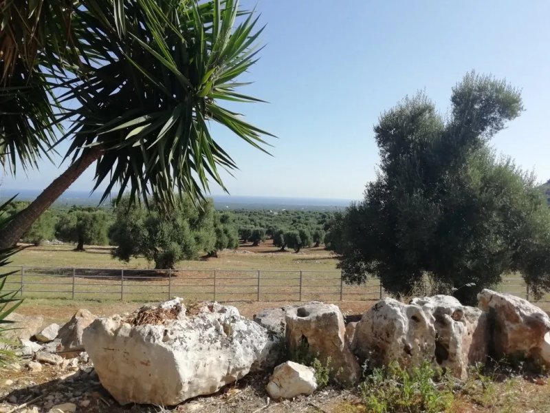 Masseria Morrone