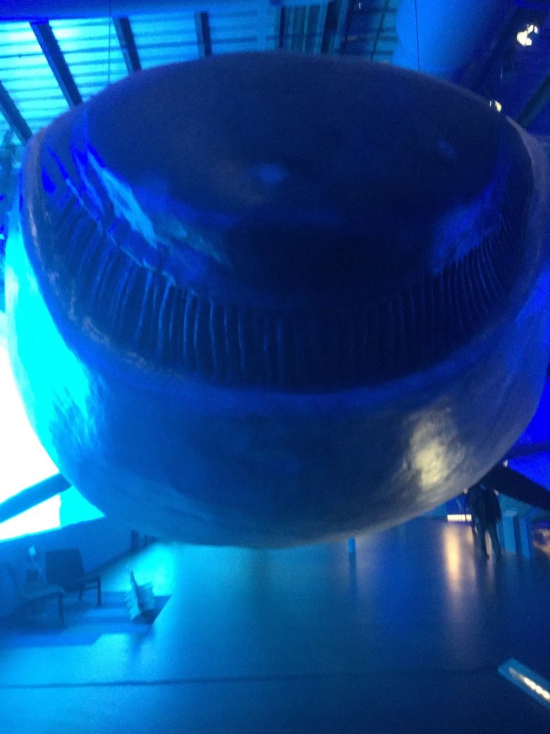 Whales of Iceland Cafe