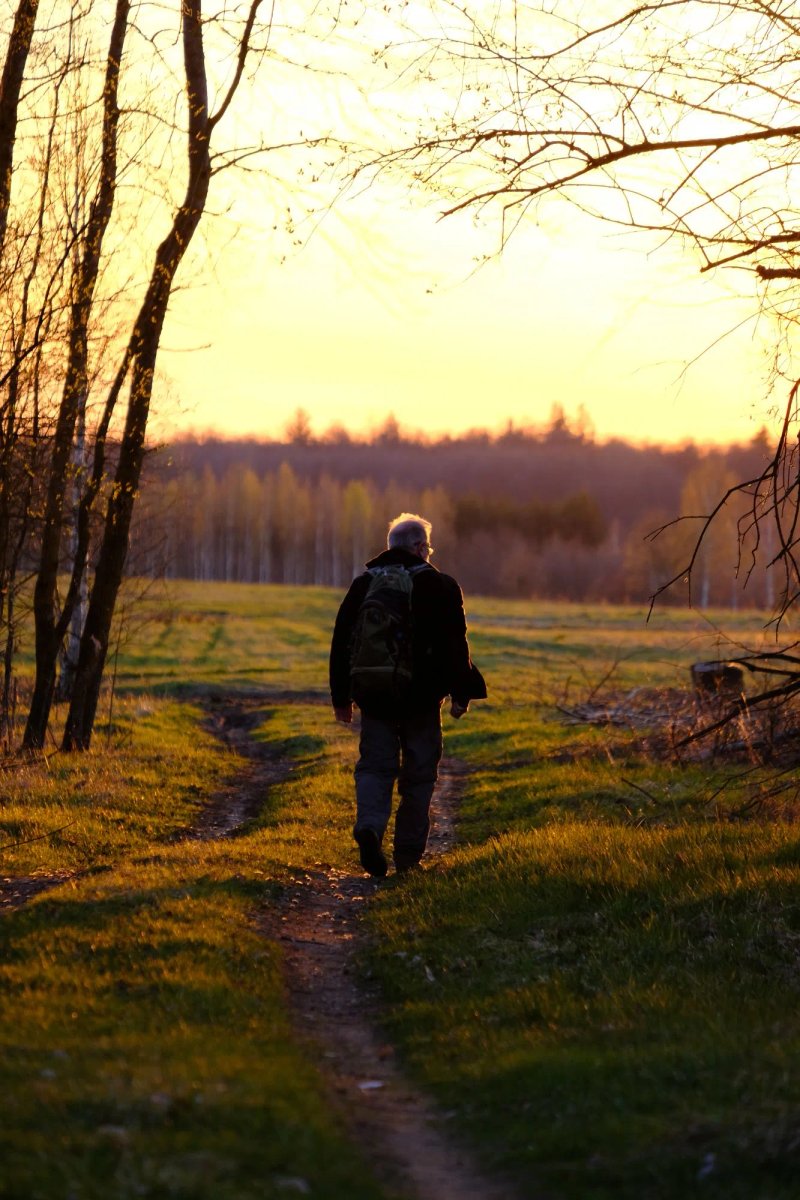 Wild Poland Wildlife Tours