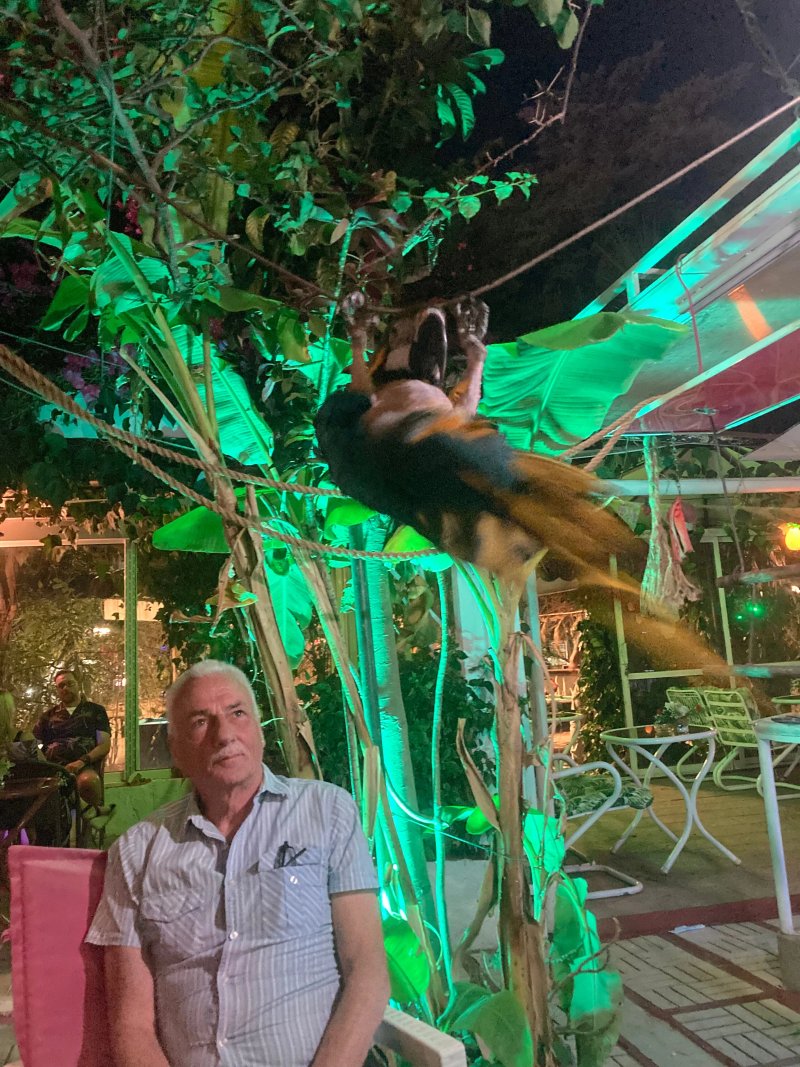 Parrot Cafe Bar