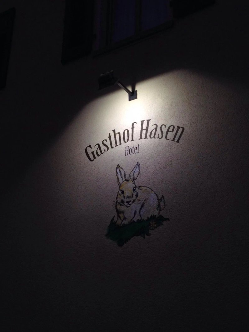 Hasen