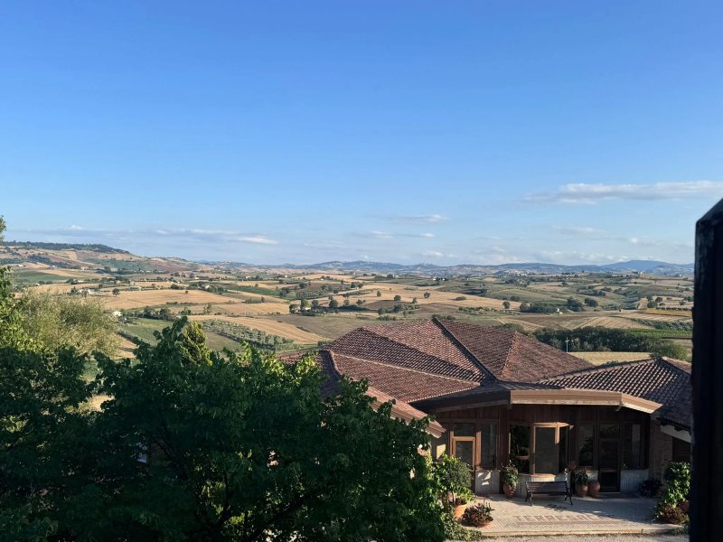 Ristorante dell'Agriturismo Il Quadrifoglio