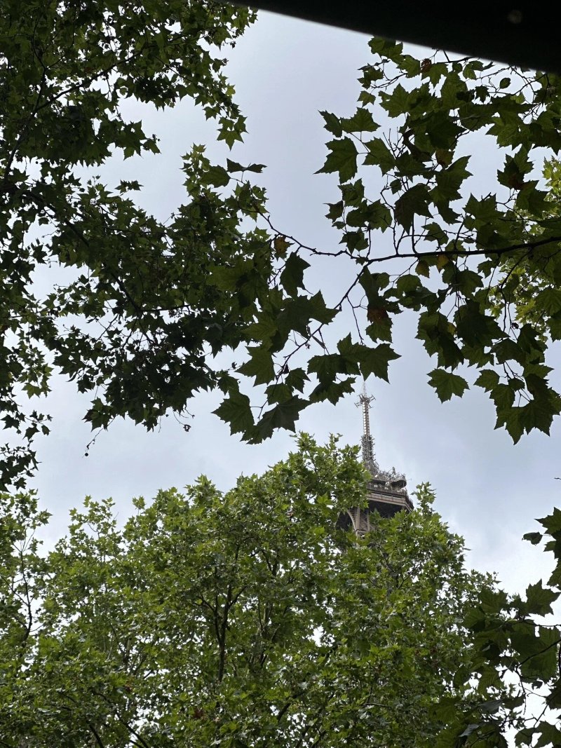 Bistrot de la tour Eiffel