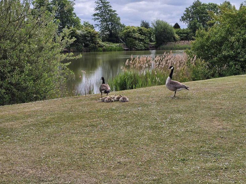 Fields End Water Caravan Park, Pods & Fishing