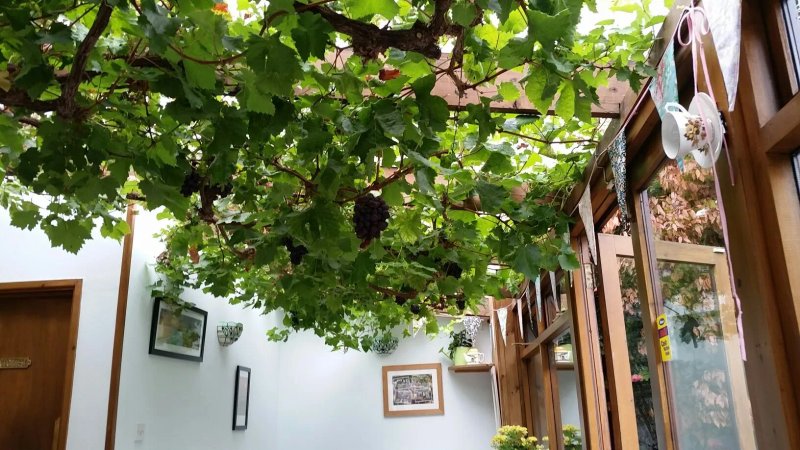 St Mawgan Tea Room and Garden