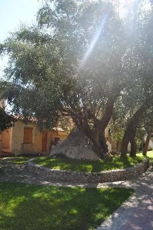 Villaggio l'Olivara