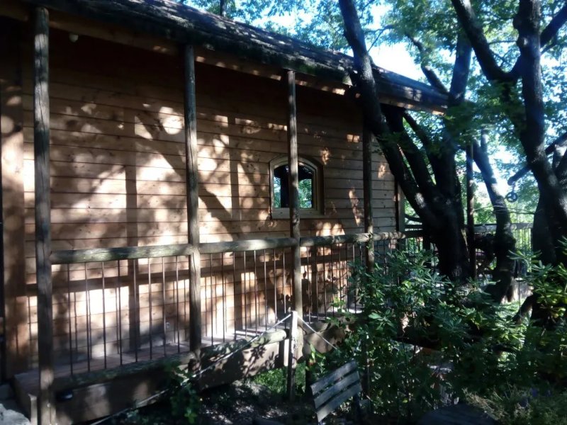Cabane en Provence
