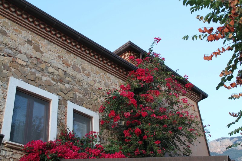 Casale Giancesare Villa Agricola