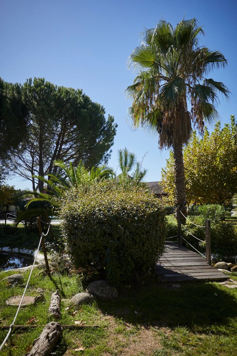 Hotel El Mirlo Blanco